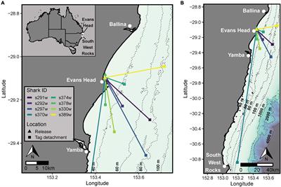 Integrating Biologging and Behavioral State Modeling to - Frontiers